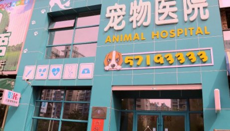 乐山有哪些优质的宠物医院？