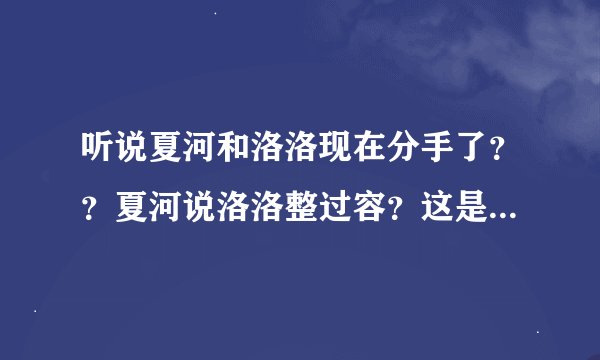 听说夏河和洛洛现在分手了？？夏河说洛洛整过容？这是真的嘛？