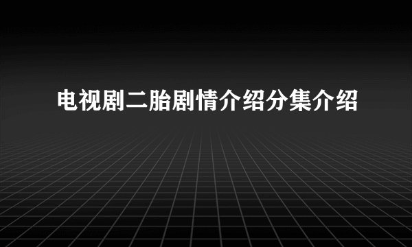 电视剧二胎剧情介绍分集介绍