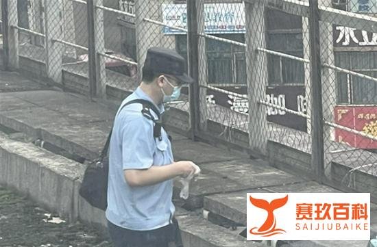 兰州开往成都的动车撞人？成都铁路局回应：确有此事，将通报详情