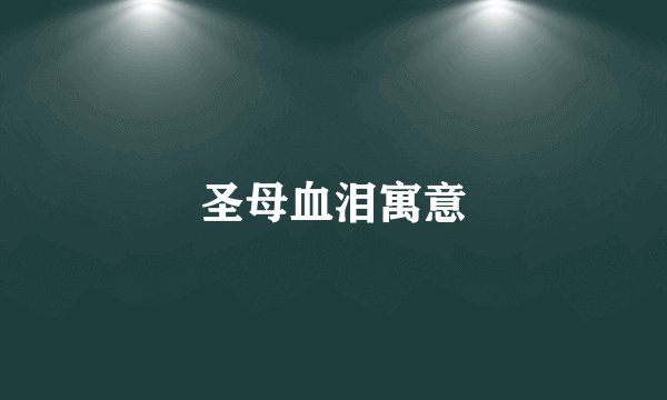 圣母血泪寓意