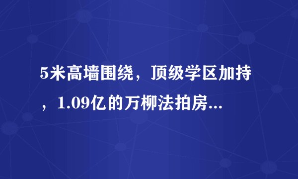 5米高墙围绕，顶级学区加持，1.09亿的万柳法拍房藏着啥秘密？