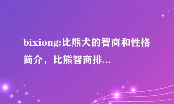 bixiong:比熊犬的智商和性格简介，比熊智商排名第几名？