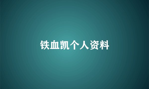 铁血凯个人资料
