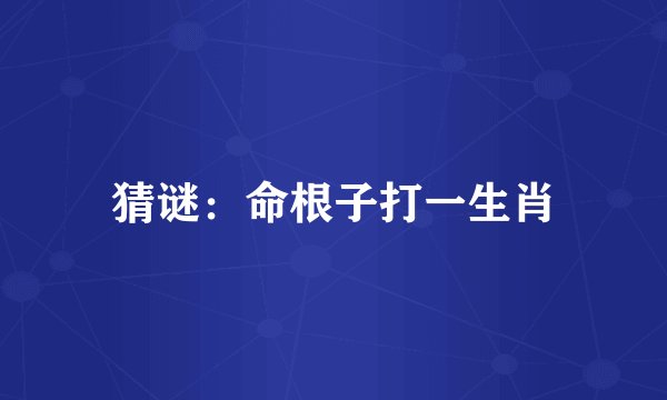 猜谜：命根子打一生肖