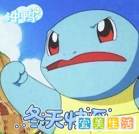 爱鹤失众
