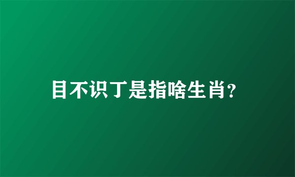 目不识丁是指啥生肖？