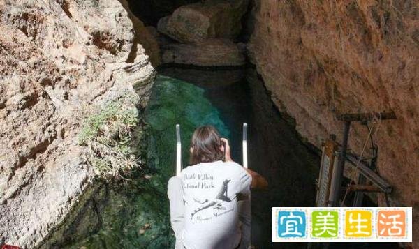美国魔鬼洞现“沙漠海啸”!仅175条的沙漠鱼,会遭灭顶之灾吗?