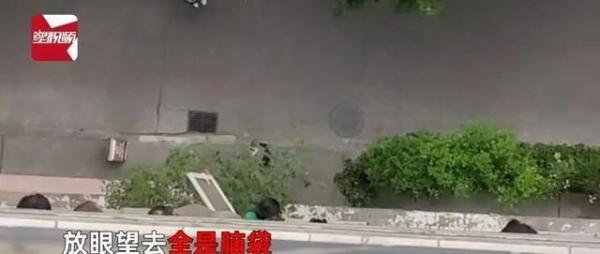 女子开窗看热闹 整楼窗边都是脑袋，整栋楼都在看热闹。疫情期间都出不去吧，只能在窗户上看看热闹。