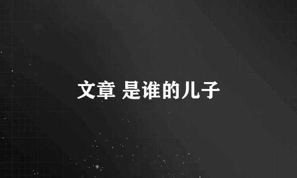 文章 是谁的儿子