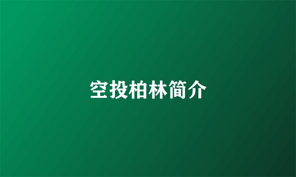 空投柏林简介