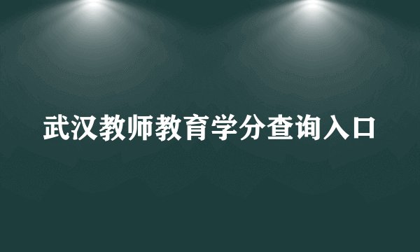 武汉教师教育学分查询入口