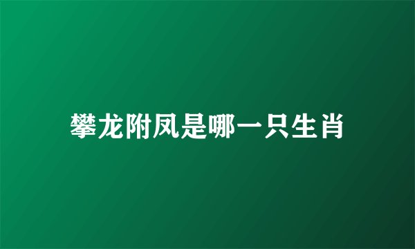 攀龙附凤是哪一只生肖
