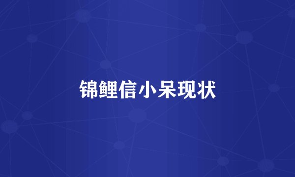 锦鲤信小呆现状