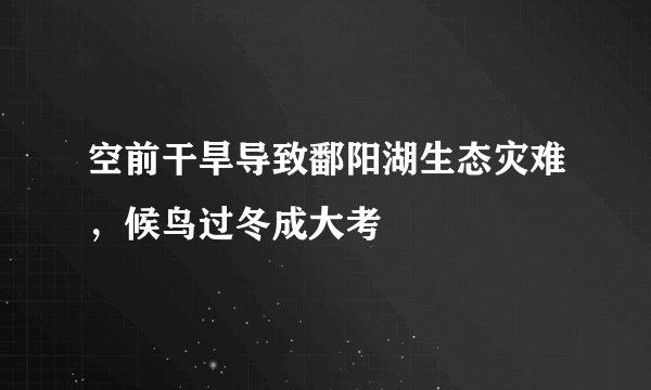 空前干旱导致鄱阳湖生态灾难，候鸟过冬成大考