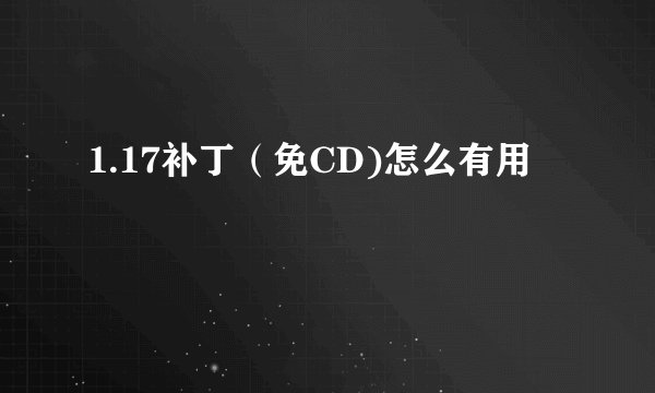 1.17补丁（免CD)怎么有用