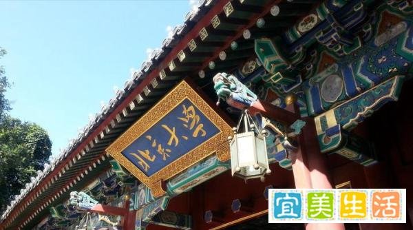 北大韦神居然也是无房一族!一年能买北京6平米,他的收入多少?
