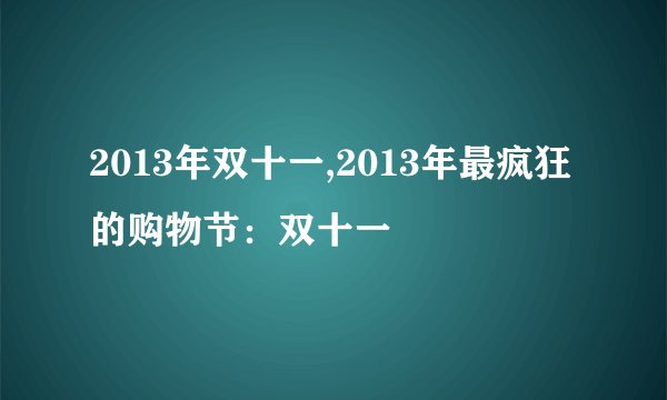 2013年双十一,2013年最疯狂的购物节：双十一