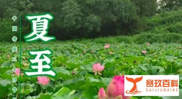 今日夏至，2021年入伏时间表：啥时候入伏、出伏，共多少天？