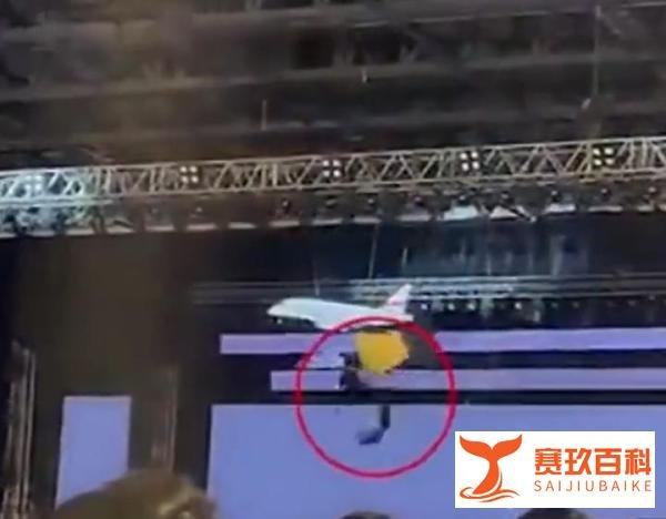 震惊！公司CEO从6米高的铁笼中坠落死亡，总裁也重伤！