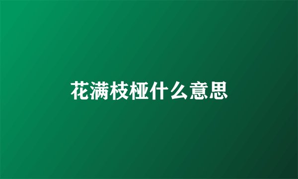 花满枝桠什么意思