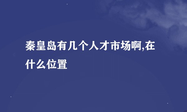 秦皇岛有几个人才市场啊,在什么位置