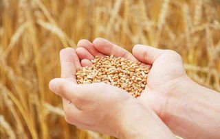 长沙一餐饮店推行称体重点餐，这种模式真的可取吗？