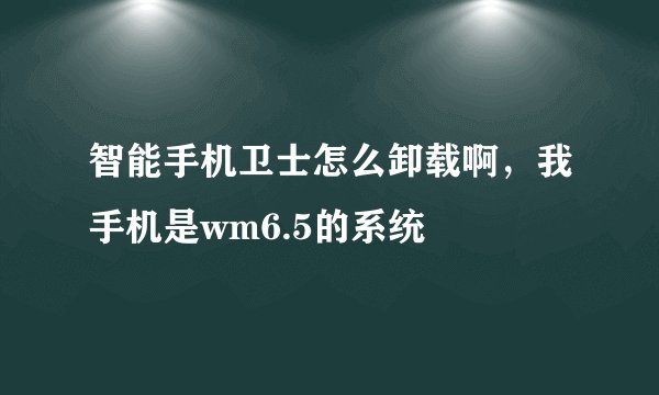 智能手机卫士怎么卸载啊，我手机是wm6.5的系统