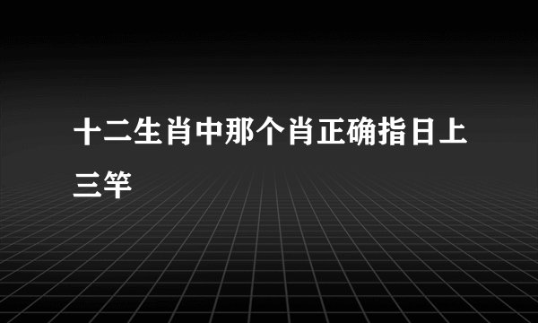 十二生肖中那个肖正确指日上三竿