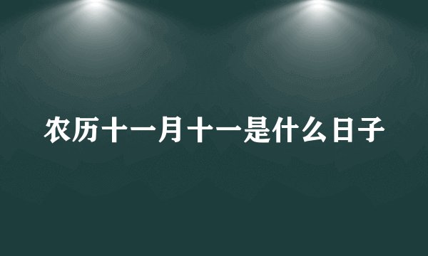 农历十一月十一是什么日子