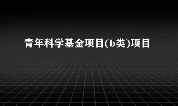 青年科学基金项目(b类)项目