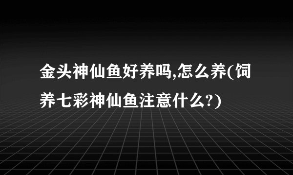 金头神仙鱼好养吗,怎么养(饲养七彩神仙鱼注意什么?)
