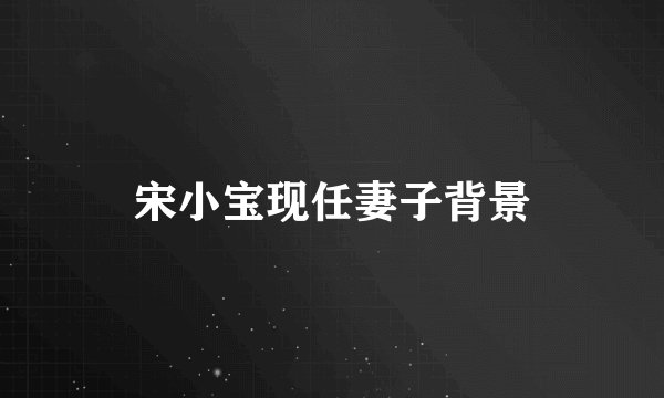 宋小宝现任妻子背景