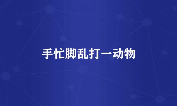 手忙脚乱打一动物