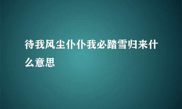 待我风尘仆仆我必踏雪归来什么意思