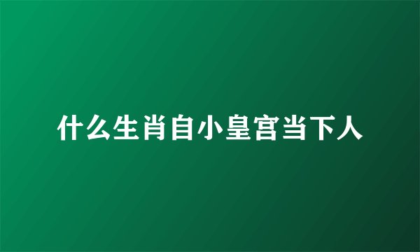 什么生肖自小皇宫当下人