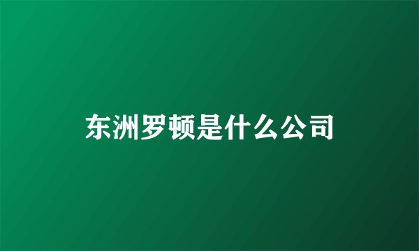 东洲罗顿是什么公司