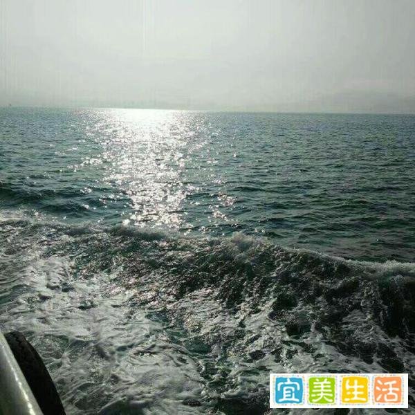 “人类在2012年其实就已经死了”-《康宗宪的青葱岁月》第45季