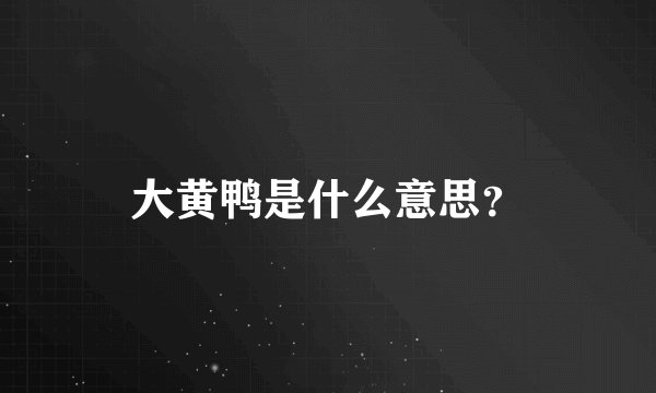 大黄鸭是什么意思？