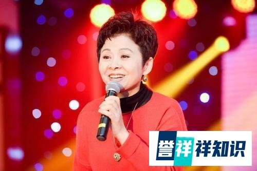 春晚走红的女歌手董文华功成名就，56岁的她却因病去世