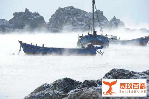 青岛海浪翻涌瞬间被冻住 这是咋情况?