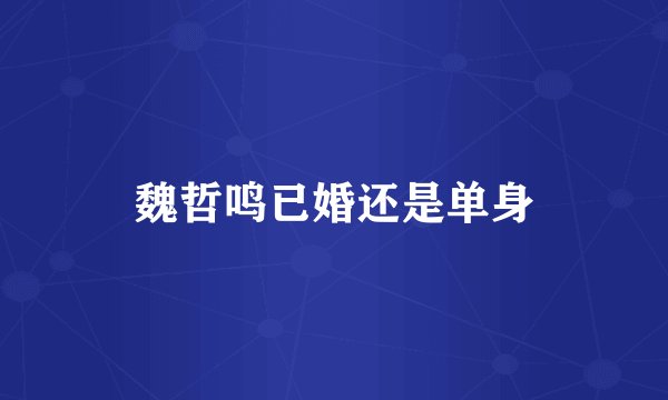 魏哲鸣已婚还是单身