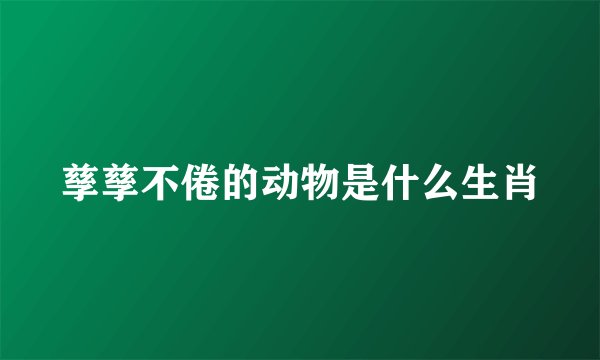 孳孳不倦的动物是什么生肖