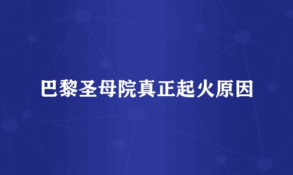 巴黎圣母院真正起火原因