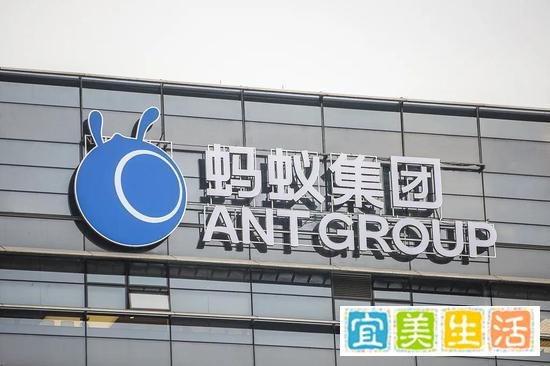 上交所：决定暂缓蚂蚁科技集团股份有限公司科创板上市