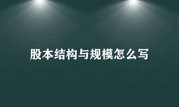 股本结构与规模怎么写