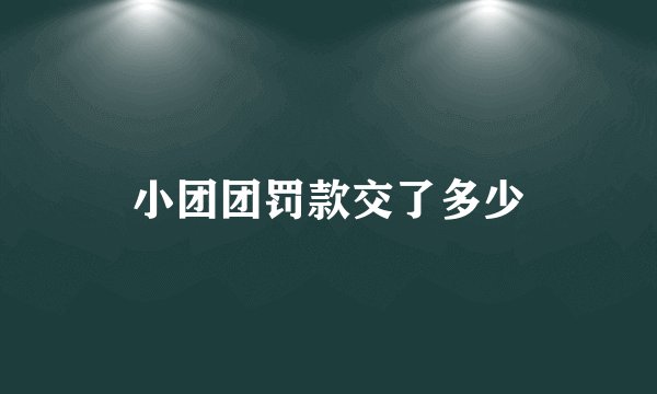 小团团罚款交了多少