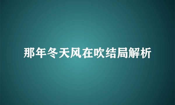 那年冬天风在吹结局解析