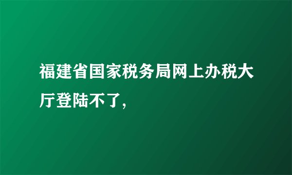 福建省国家税务局网上办税大厅登陆不了,