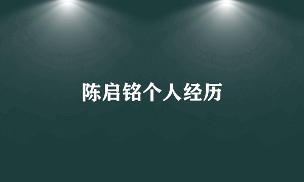 陈启铭个人经历
